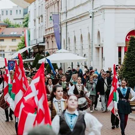 Ground Floor Park Bestern Apartment *