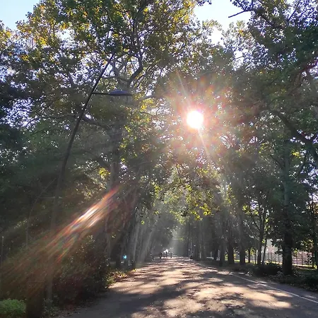 Ground Floor Park Bestern